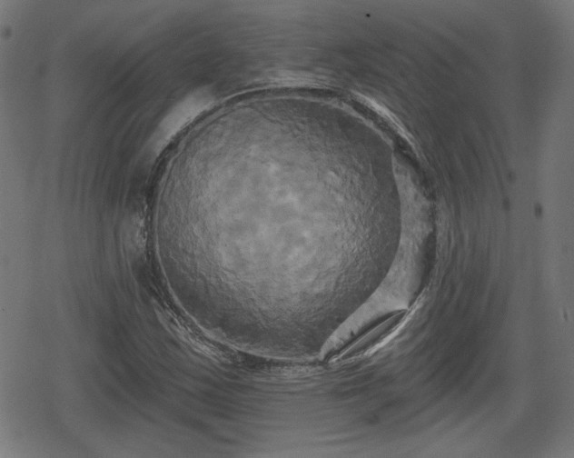 X0000078291163200611101101