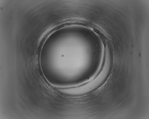 X0000078291164200611101101