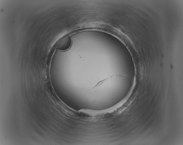 X0000078291166200611101101