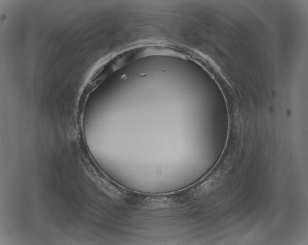 X0000078291168200611101101