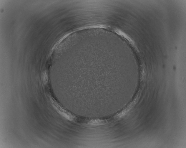 X0000078291169200611101101