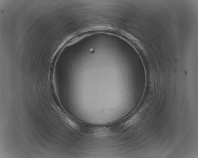 X0000078291170200611101101