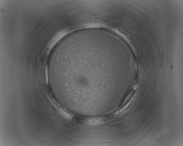 X0000078291171200611101101