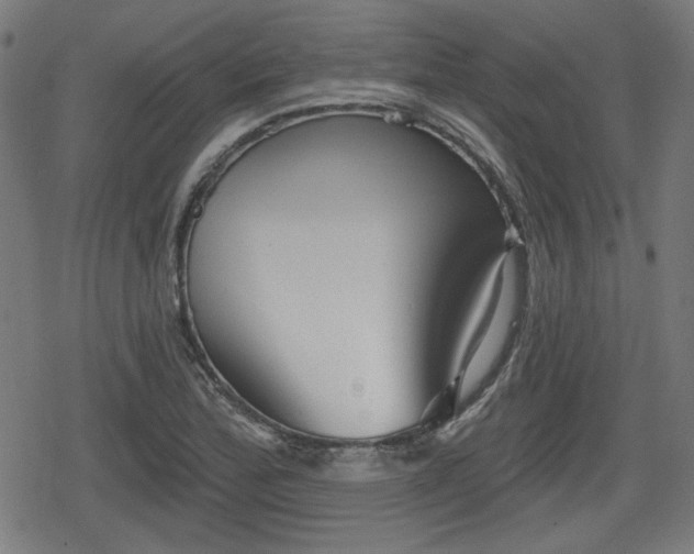 X0000078291172200611101101