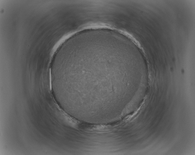 X0000078291175200611101101