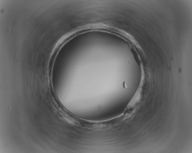 X0000078291176200611101101