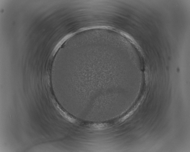 X0000078291177200611101101