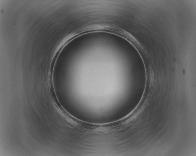 X0000078291178200611101101