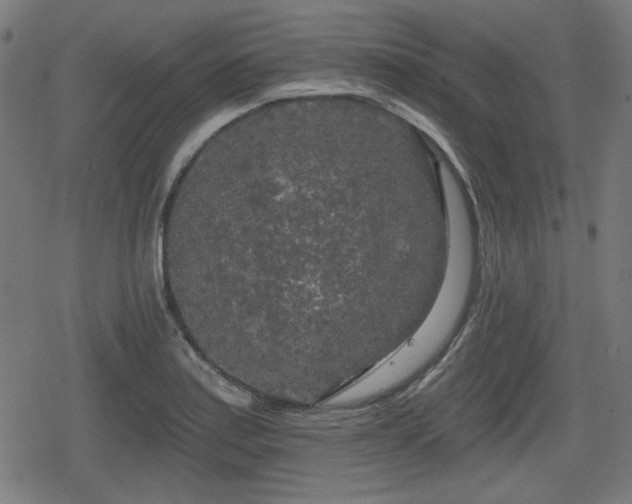 X0000078291179200611101101