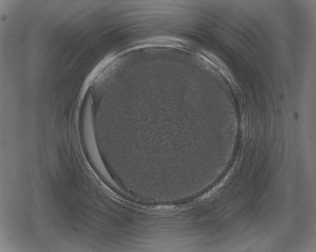 X0000078291180200611101101