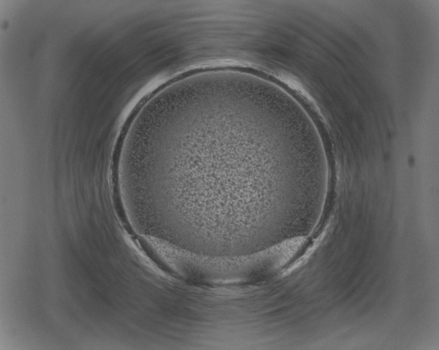 X0000078291181200611101101