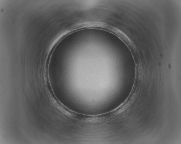 X0000078291182200611101101