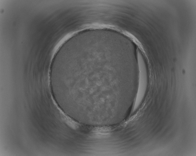 X0000078291183200611101101