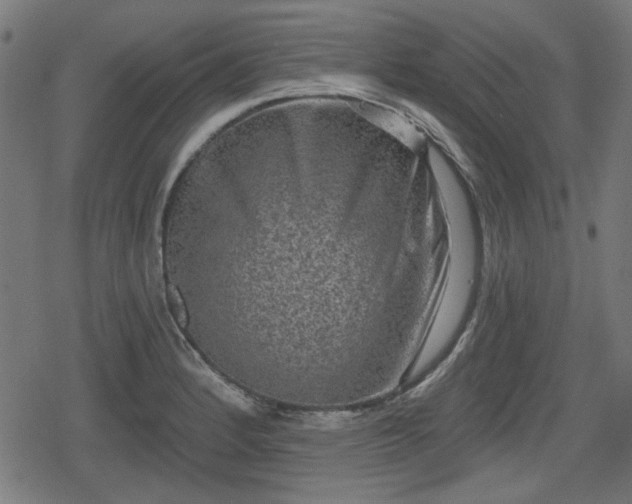 X0000078291184200611101101