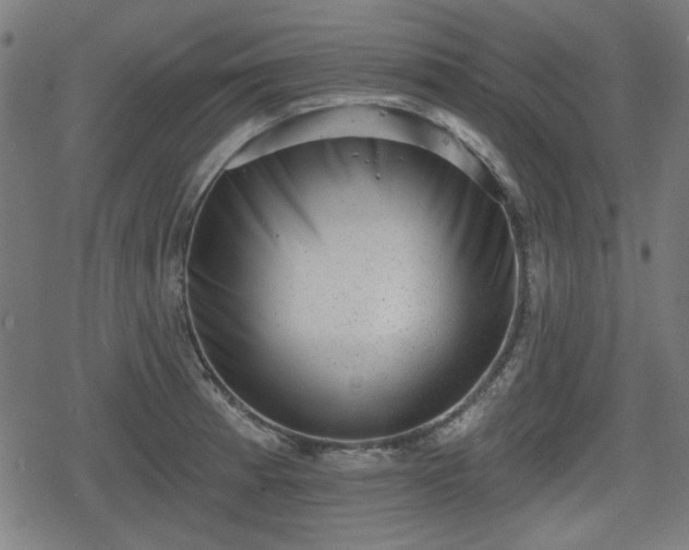 X0000078291185200611101100