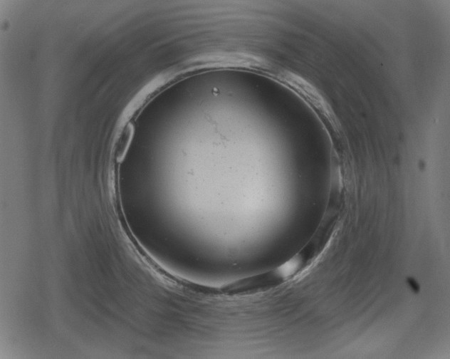 X0000078291188200611101100