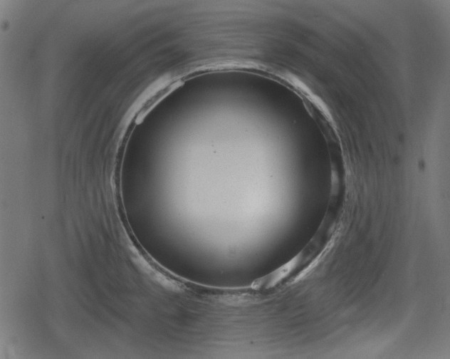 X0000078291189200611101100