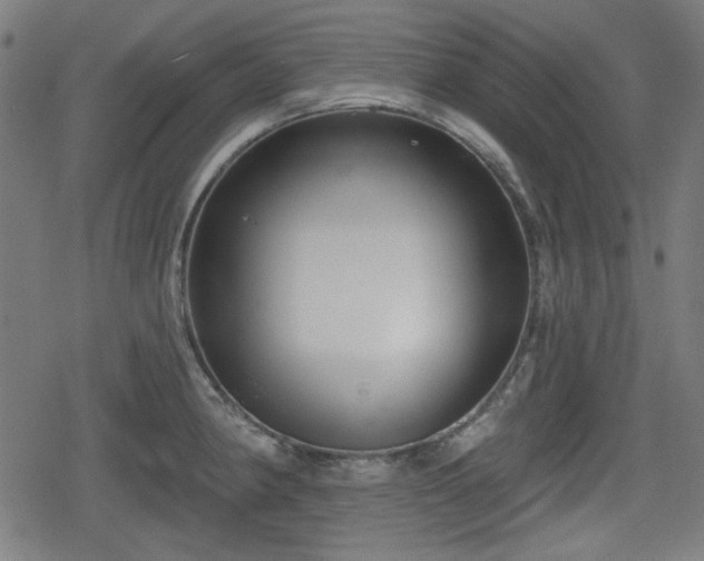 X0000078291190200611101100