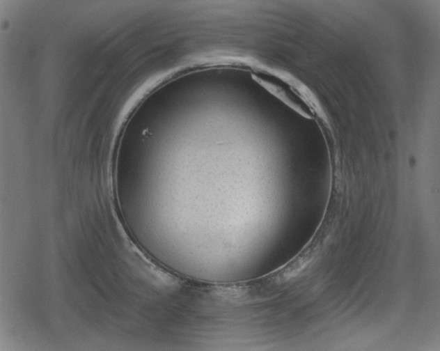 X0000078291191200611101100