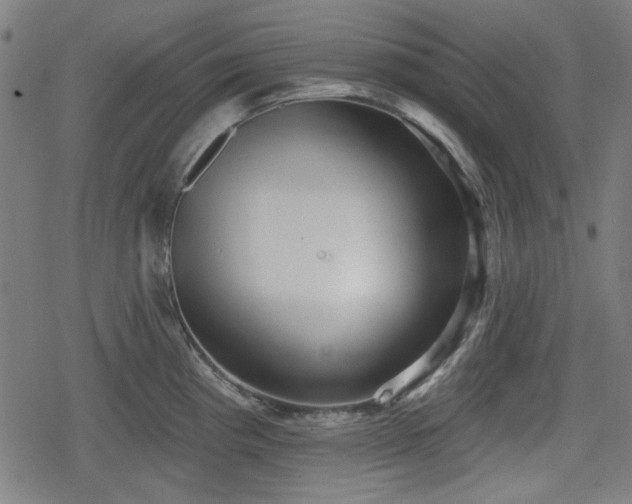 X0000078291193200611101100