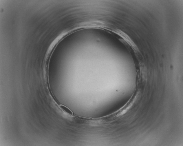 X0000078291196200611101100