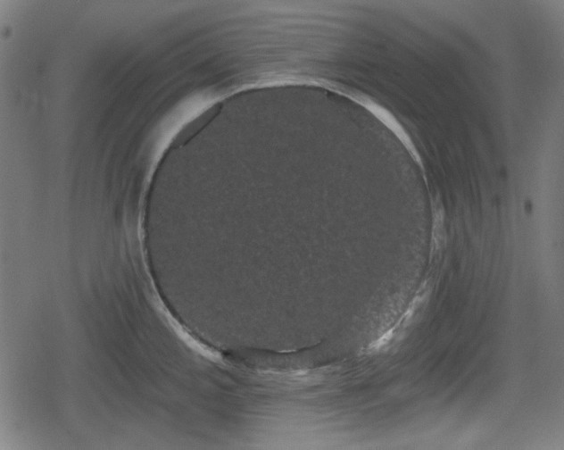 X0000078291197200611101100