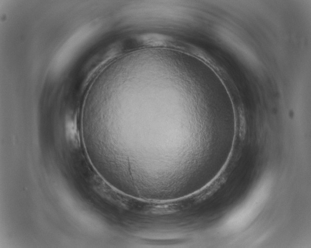 X0000078291198200611101100