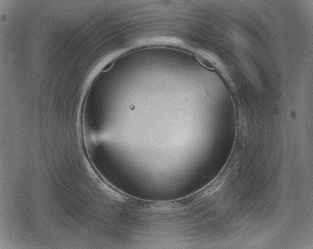 X0000078291199200611101100