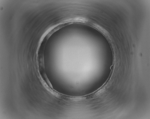 X0000078291200200611101100