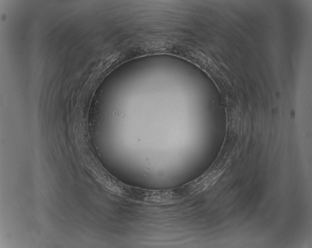 X0000078291201200611101059