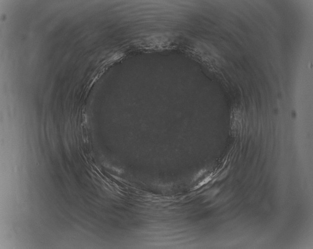 X0000078291202200611101059