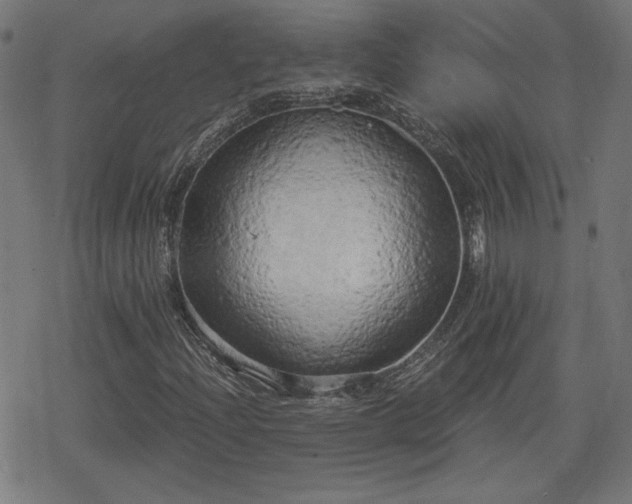 X0000078291204200611101059