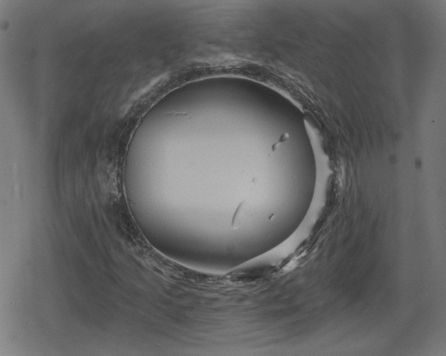 X0000078291205200611101100