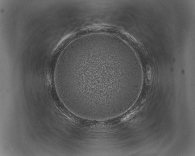 X0000078291206200611101100