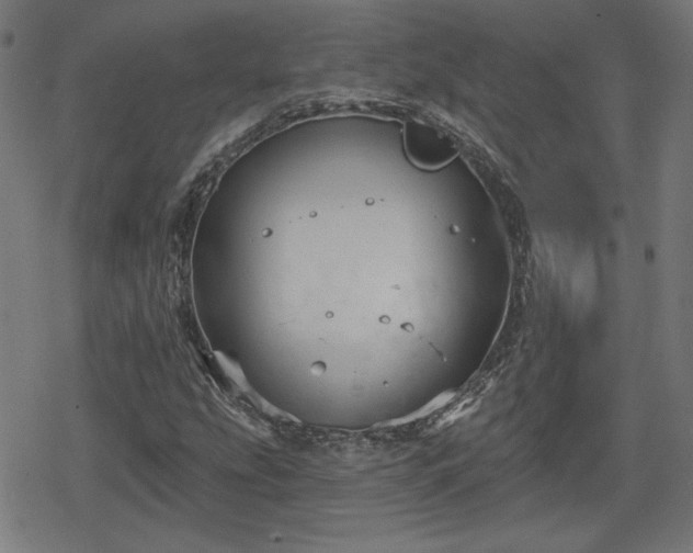 X0000078291207200611101100