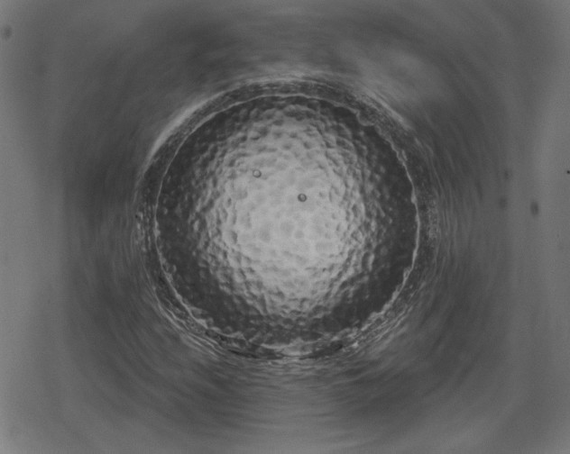 X0000078291208200611101100