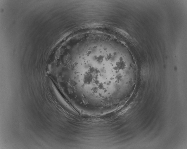 X0000078291209200611101100