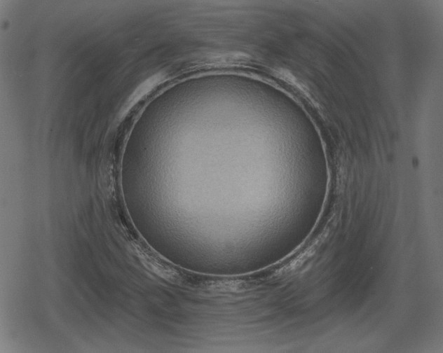 X0000078291211200611101100