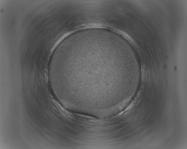 X0000078291212200611101100