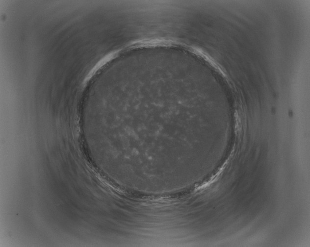 X0000078291213200611101100