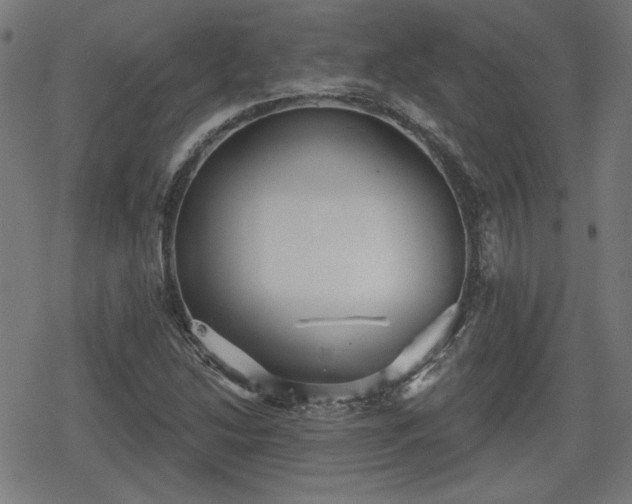 X0000078291214200611101100