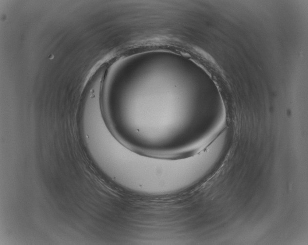 X0000078291218200611101100