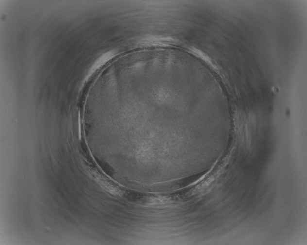 X0000078291219200611101100