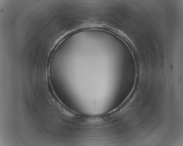 X0000078291220200611101100