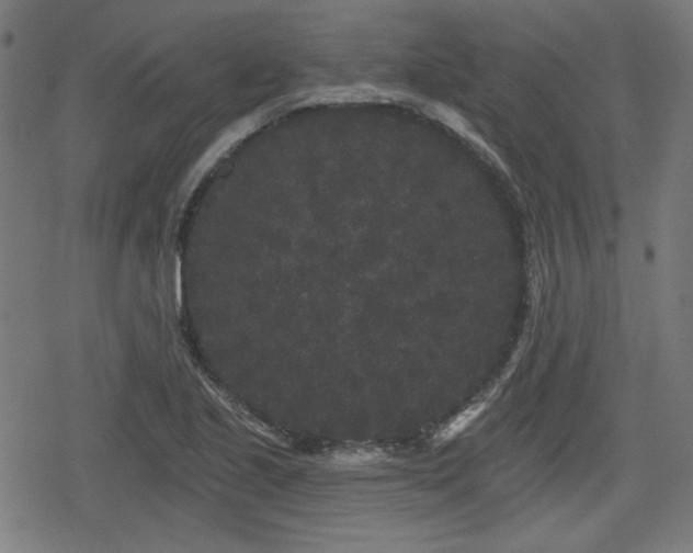 X0000078291221200611101100