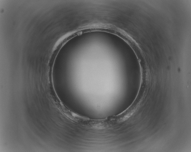 X0000078291222200611101100