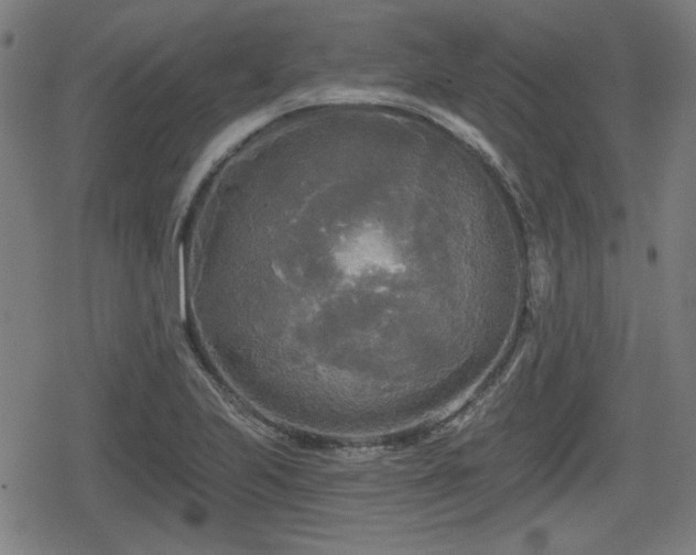 X0000078291223200611101100