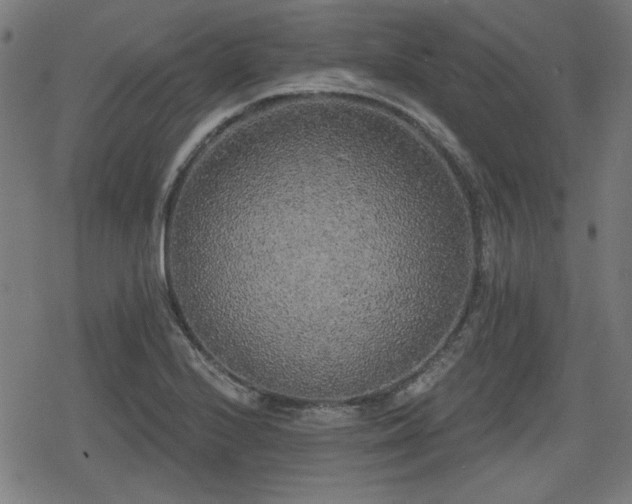 X0000078291224200611101100