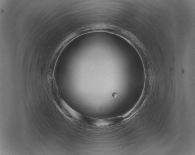 X0000078291225200611101100