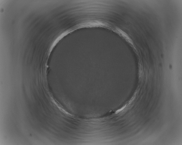 X0000078291226200611101100